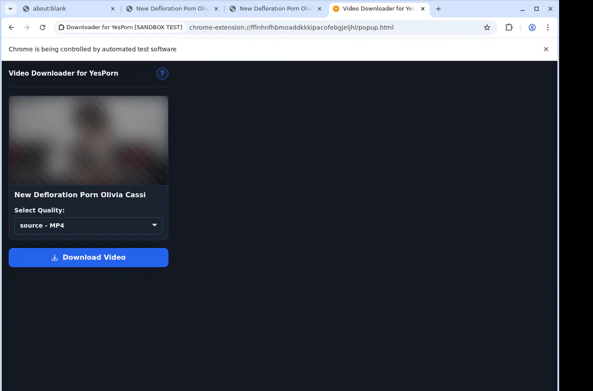 Yesporn Video Downloader browser extension screenshot 3